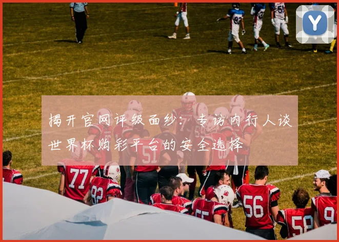 揭开官网评级面纱：专访内行人谈世界杯购彩平台的安全选择