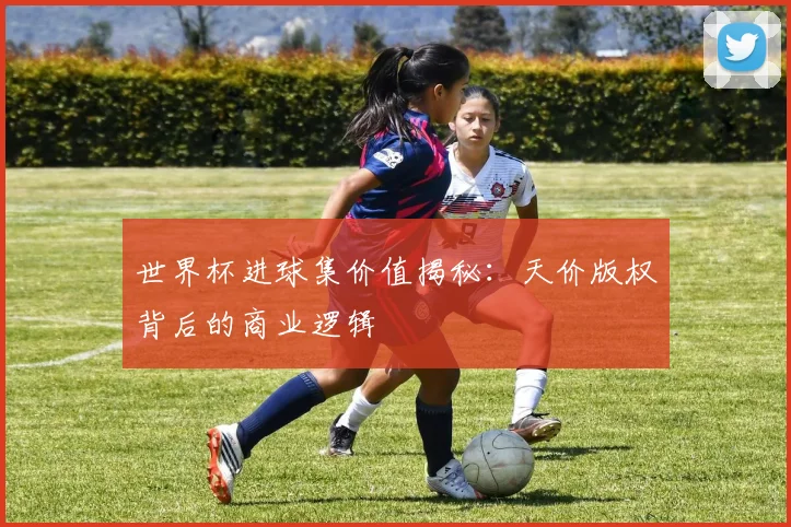 世界杯进球集价值揭秘：天价版权背后的商业逻辑