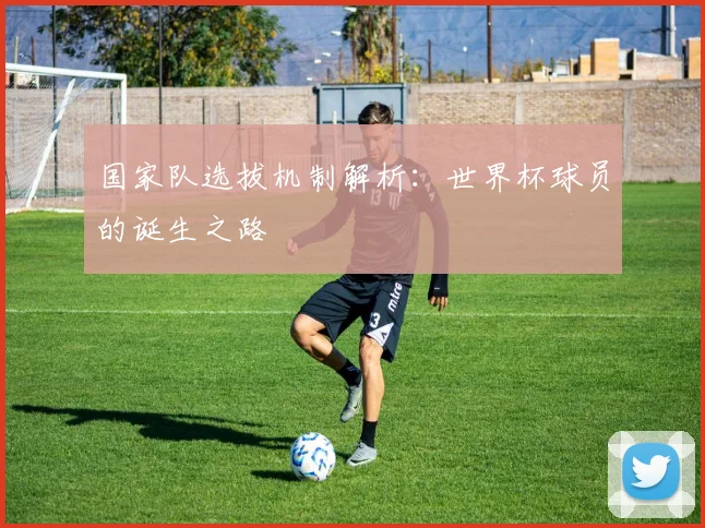 国家队选拔机制解析：世界杯球员的诞生之路