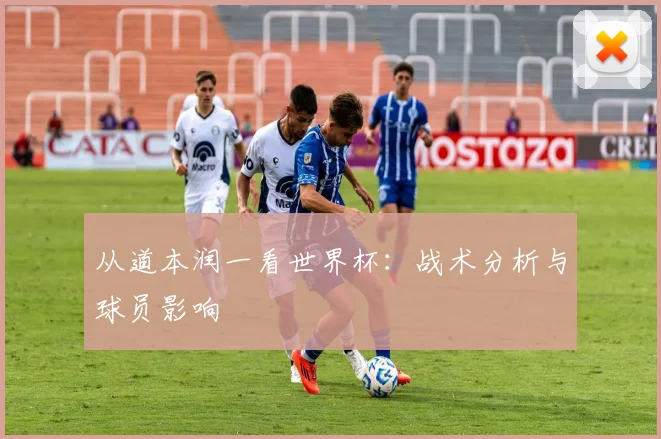 从道本润一看世界杯:战术分析与球员影响