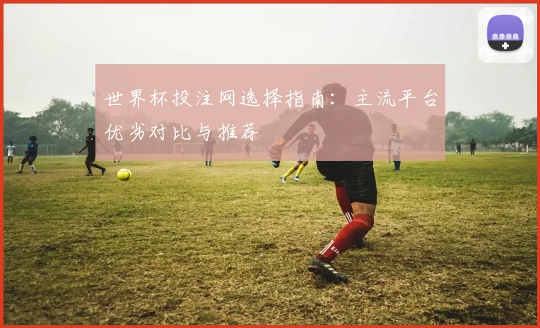 世界杯投注网选择指南：主流平台优劣对比与推荐