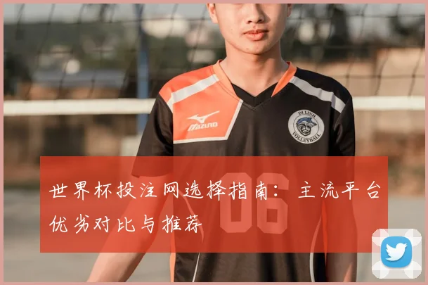 世界杯投注网选择指南：主流平台优劣对比与推荐