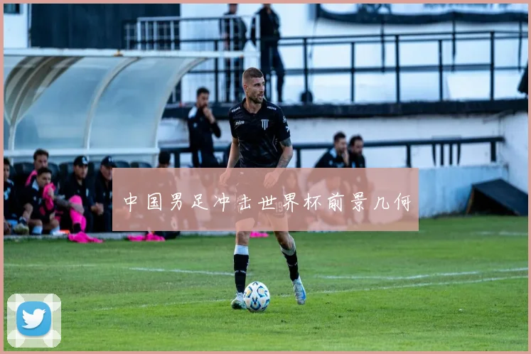 中国男足冲击世界杯前景几何