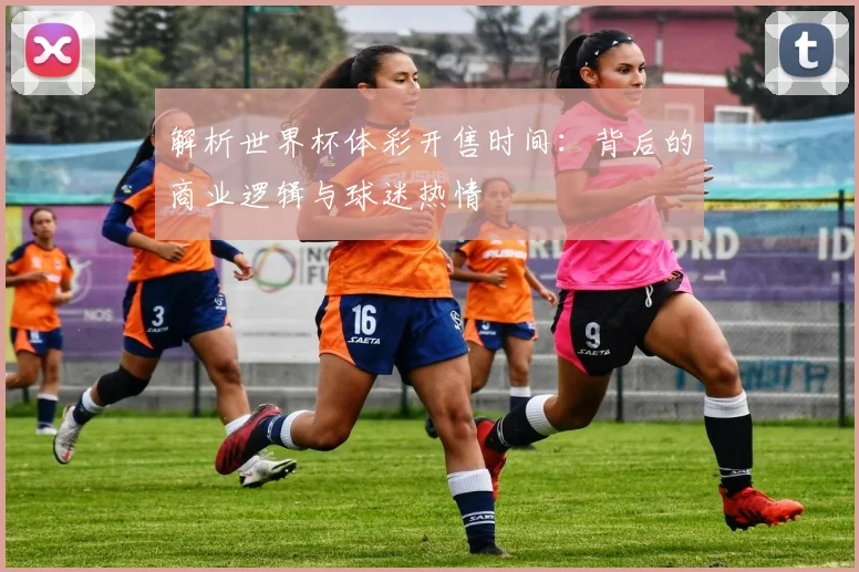 解析世界杯体彩开售时间：背后的商业逻辑与球迷热情