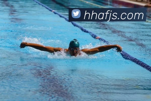 星空官网APP 封面图